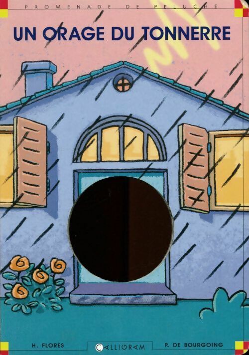 Livrenpoche : Un orage du tonnerre - Pascale De Bourgoing - Livre