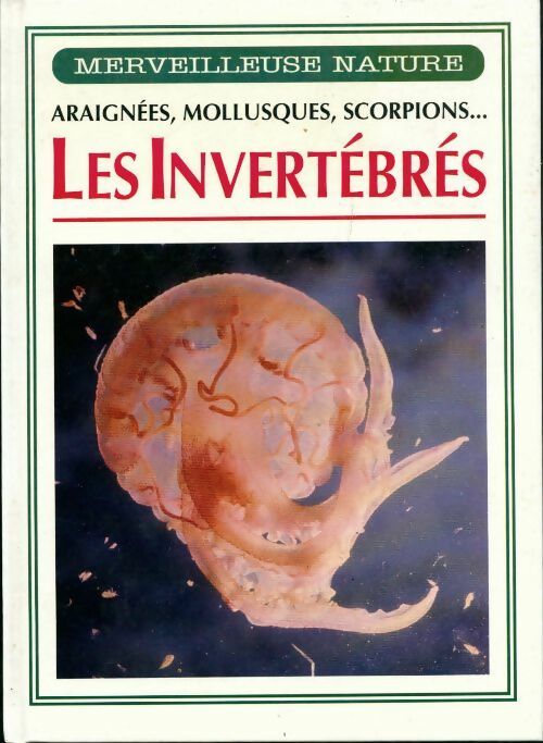 Livrenpoche : Les invertébrés - Anna Carassiti - Livre