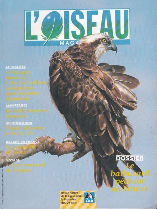 Livrenpoche : L'oiseau mag n°58 : Le balbuzard pêcheur en France - Collectif - Livre