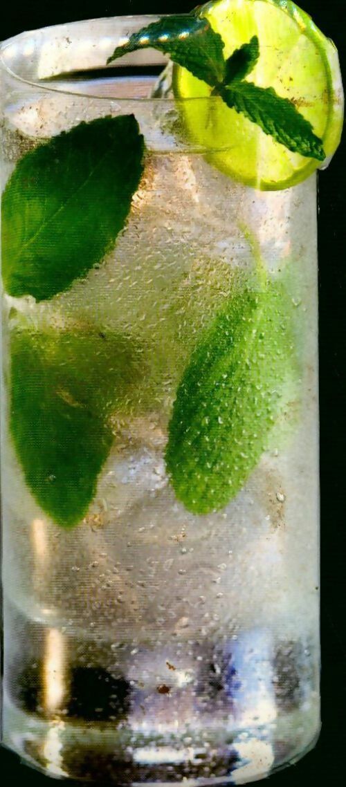 Livrenpoche : Mojito - Mathias Giroud - Livre