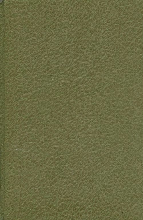 Livrenpoche : Ripley s'amuse - Patricia Highsmith - Livre