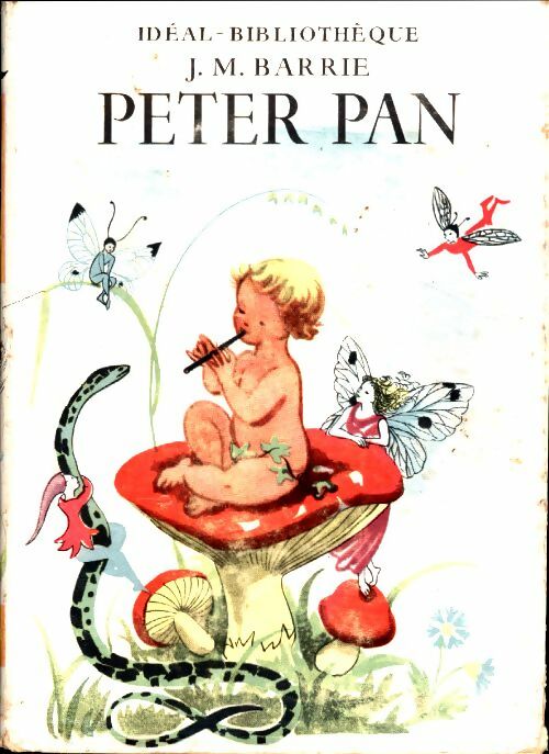 Livrenpoche : Peter Pan - James Matthew Barrie - Livre
