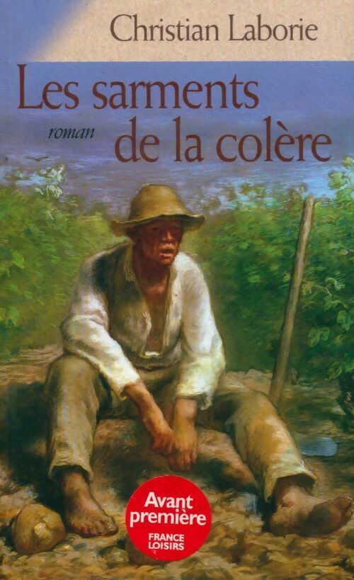 Livrenpoche : Les sarments de la colère - Christian Laborie - Livre