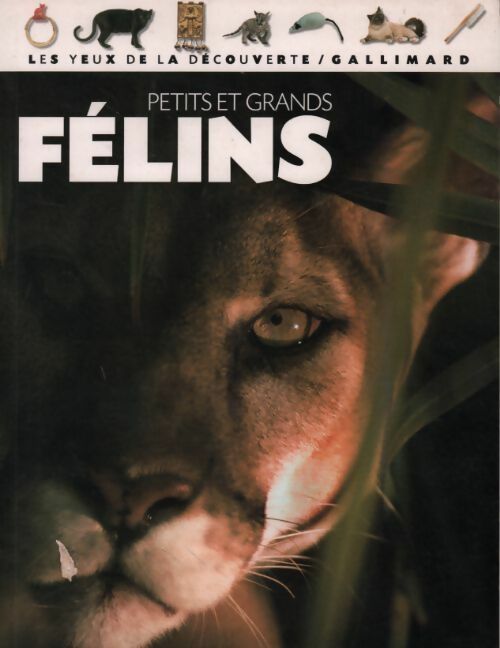 Livrenpoche : Petits et grands félins - Juliet Clutton-Brock, Clutton-Brock - Livre