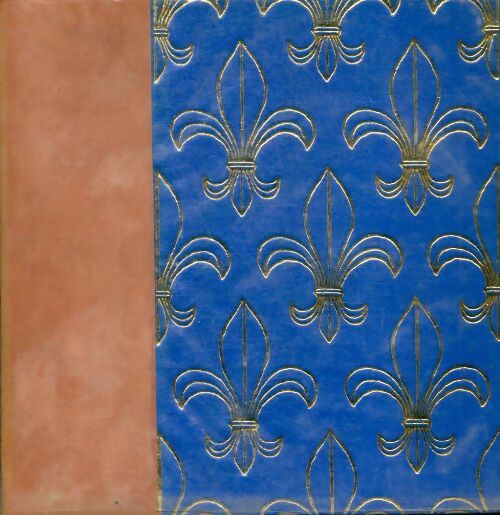 Livrenpoche : Histoire de France Tome XII : Richelieu et la Fronde - Jules Michelet - Livre