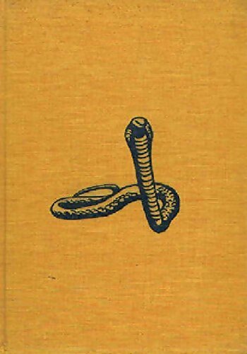 Livrenpoche : Le fleuve - Rumer Godden - Livre