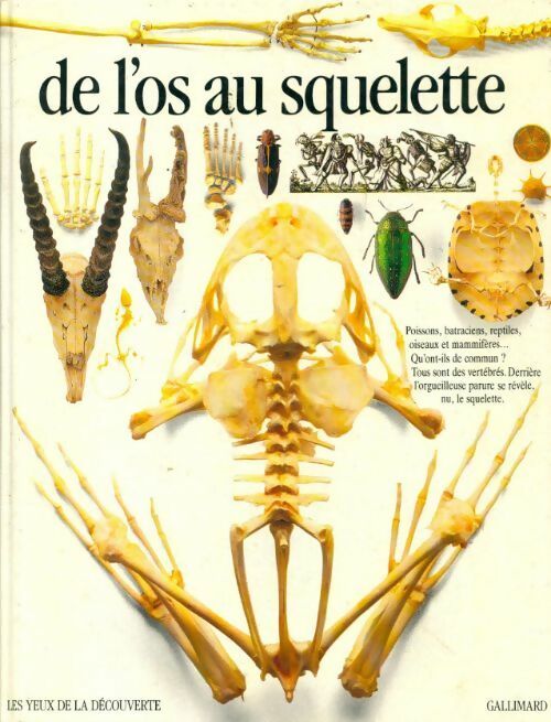 Livrenpoche : De l'os au squelette - Steve Parker - Livre