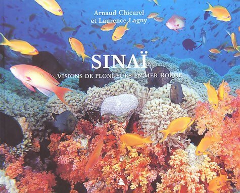 Sinaï. Visions de plongeurs en mer rouge - Arnaud Chicurel - Livre