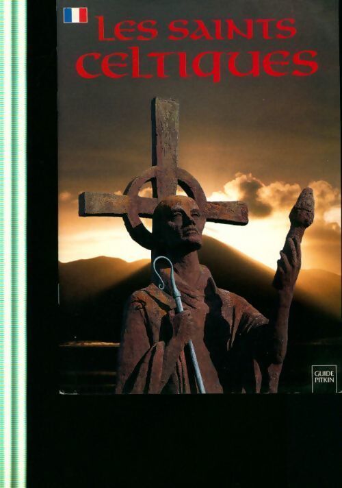 Livrenpoche : Les saints celtiques - Dana Delap - Livre