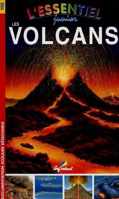 Livrenpoche : Les volcans - Bernard Alunni - Livre