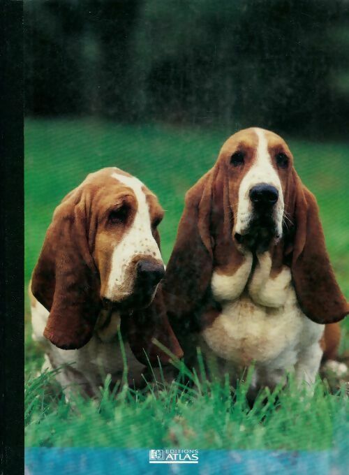 Livrenpoche : De basenji à berger des abruzes et de maremme - Collectif - Livre