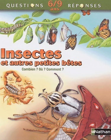 Livrenpoche : Insectes et autres petites bêtes - Amanda O'neill - Livre