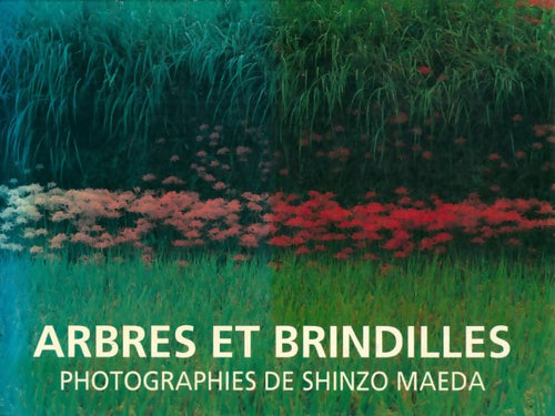 Livrenpoche : Arbres et brindilles - Shinzo Maeda - Livre