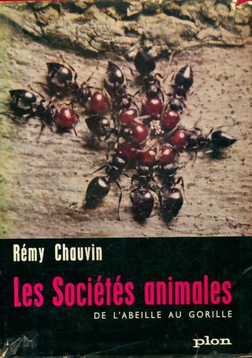 Livrenpoche : Les sociétés animales de l'abeille au gorille - Rémy Chauvin - Livre