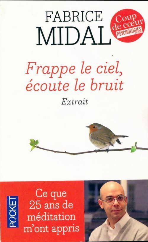Livrenpoche : Frappe le ciel, écoute le bruit (extraits) - Fabrice Midal - Livre