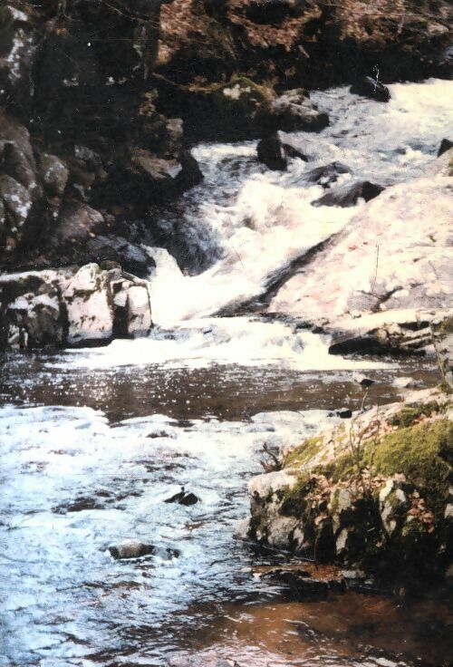 Livrenpoche : Le devon de Yannick - Bernard Lécuyer - Livre