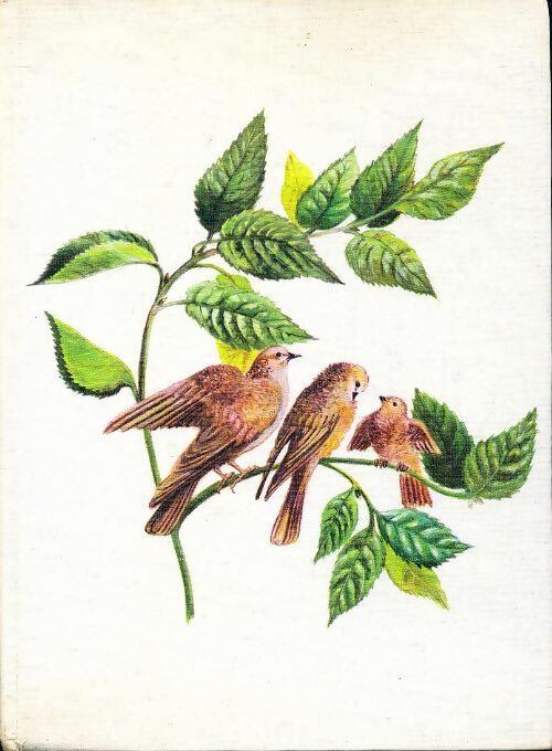 Livrenpoche : Trois sans toit - Jean Duché - Livre