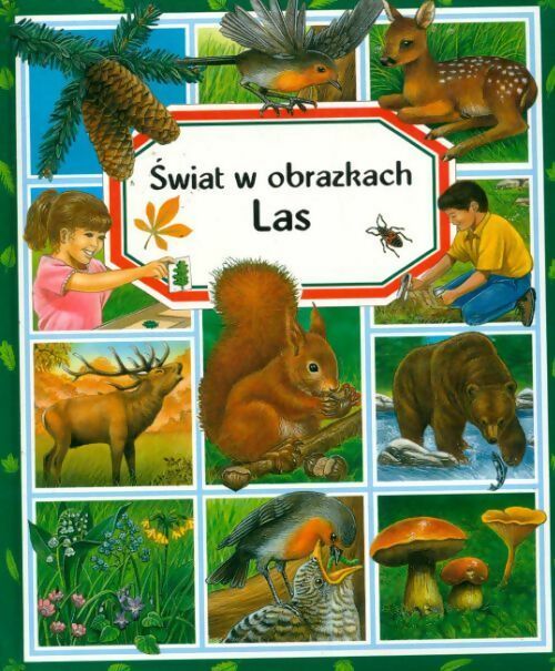 Livrenpoche : Swiat w obrazkach - Emilie Beaumont - Livre