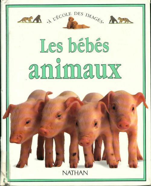 Livrenpoche : Bébés animaux - Dorling Kindersley - Livre