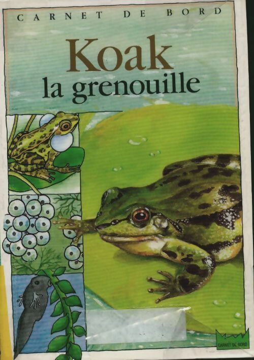 Livrenpoche : Koak la grenouille - Christine Lazier - Livre