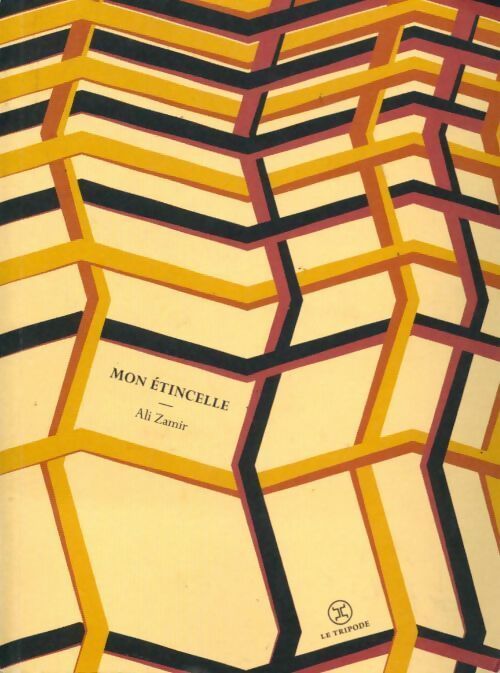 Livrenpoche : Mon étincelle - Ali Zamir - Livre