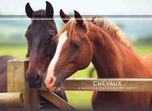 Livrenpoche : L'agenda-calendrier chevaux 2017 - Collectif - Livre