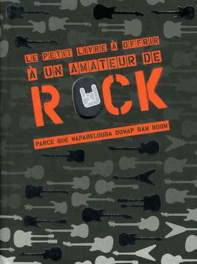 Livrenpoche : Le petit livre à offrir à un amateur de rock - Matthieu Remy - Livre
