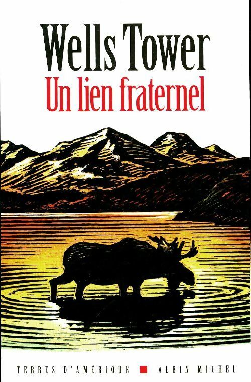 Livrenpoche : Un lien fraternel - Wells Tower - Livre