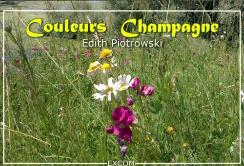 Livrenpoche : Couleurs champagne - Edith Piotrowski - Livre