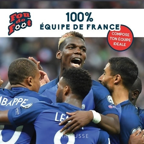 Livrenpoche : Fou de foot : 100 % équipe de France - Valentin Verthé - Livre