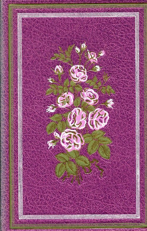 Livrenpoche : Les petites filles modèles - Comtesse De Ségur - Livre