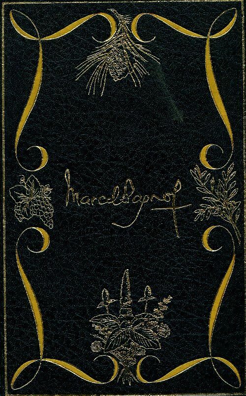 Livrenpoche : Souvenirs d'enfance Tome II : Le château de ma mère - Marcel Pagnol - Livre