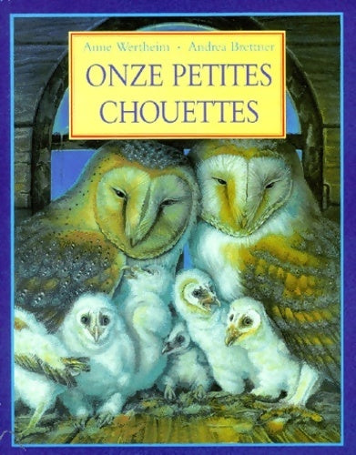 Livrenpoche : Onze petites chouettes - Anne Wertheim - Livre
