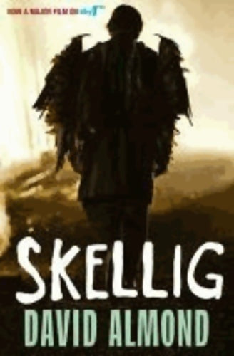 Livrenpoche : Skellig - David Almond - Livre