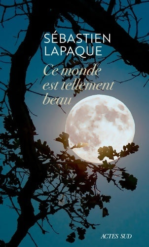 Livrenpoche : Ce monde est tellement beau - Sébastien Lapaque - Livre
