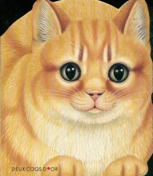Livrenpoche : Le chat de la maison - Lorella Rizzati - Livre