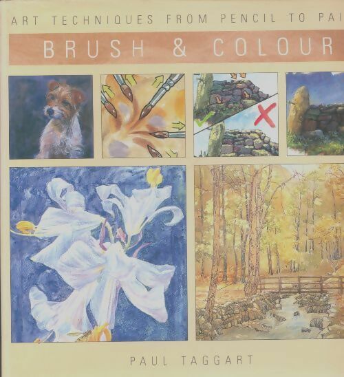 Livrenpoche : Brush & colour - Paul Taggart - Livre