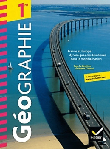 Livrenpoche : Géographie 1re - Sarah Mekdjian - Livre
