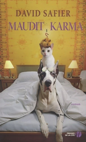 Livrenpoche : Maudit karma - David Safier - Livre