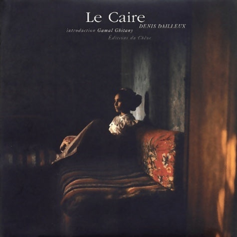 Le Caire - Denis Dailleux - Livre