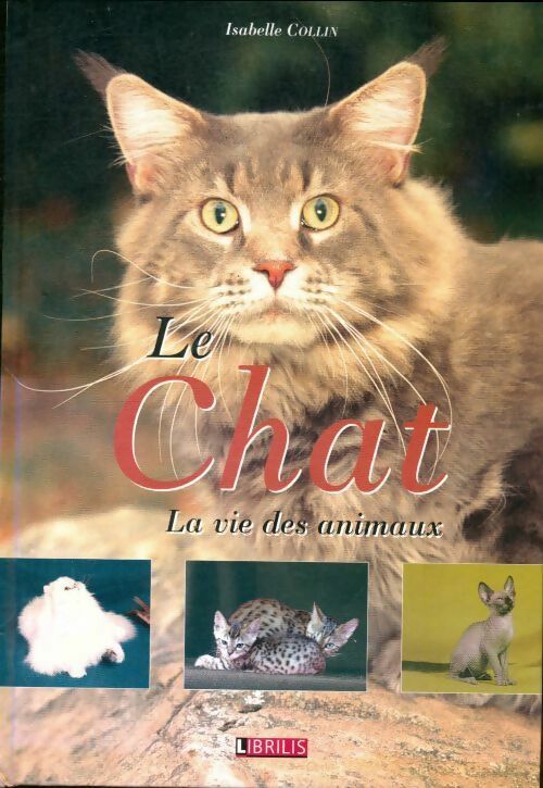 Livrenpoche : Le chat : La vie des animaux - Isabelle Collin - Livre