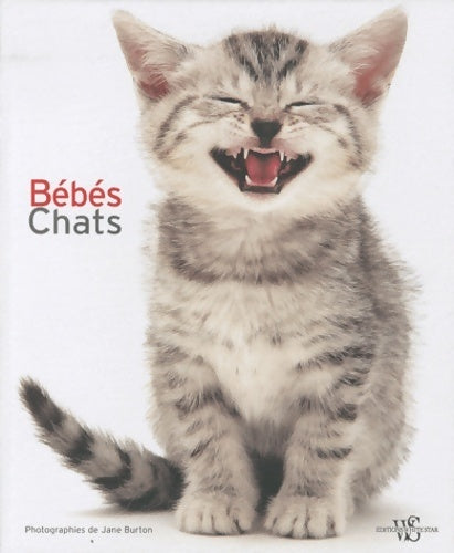 Livrenpoche : Bébés chats - Giorgio Ferrero - Livre