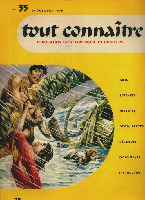 Livrenpoche : Tout connaître n°35 - Collectif - Livre