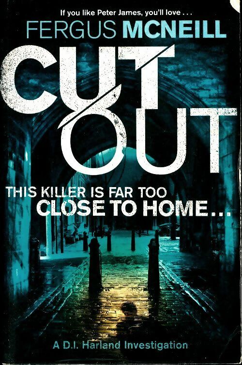 Livrenpoche : Cut out - Fergus Mcneill - Livre