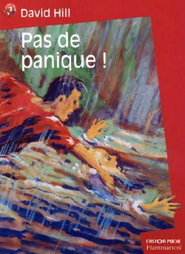Livrenpoche : Pas de panique ! - David Hill - Livre