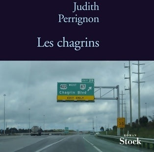 Livrenpoche : Les chagrins - Judith Perrignon - Livre