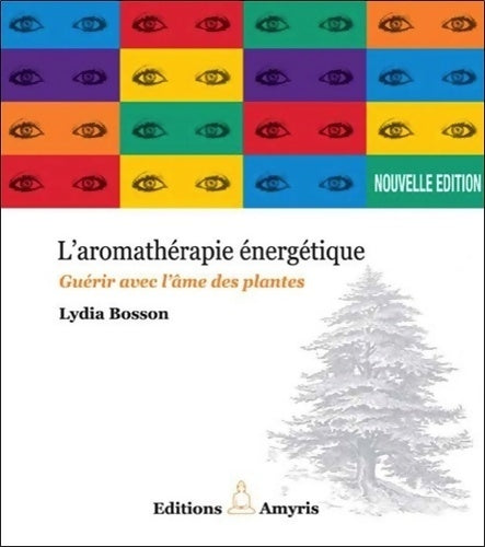 Livrenpoche : Aromathérapie énergétique - guérir avec l'âme des plantes - Lydia Bosson - Livre