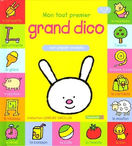 Livrenpoche : Mon tout premier grand dico - Anita Engelen - Livre