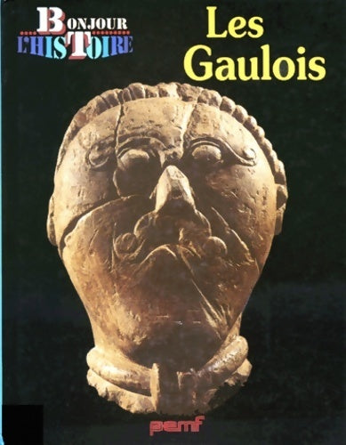 Livrenpoche : Les gaulois - Karine Delobbe - Livre