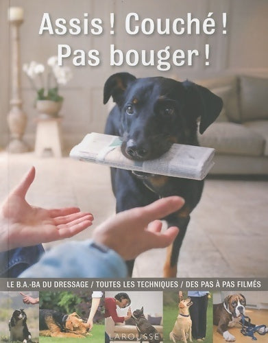 Livrenpoche : Assis ! couché ! Pas bouger ! - Gwen Bailey - Livre